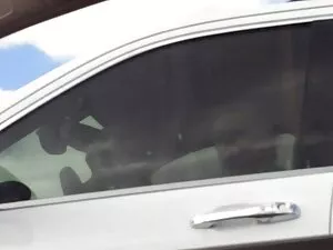 同性恋新的开始爱鸡鸡 印地语性别的视频印 ...