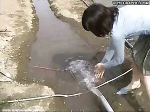理想数为10SC1 家庭色情王