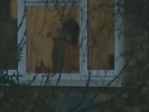 WildOnCam-佩顿普雷斯蒂只 新的 ...