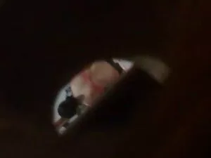 黑色蕾丝诱惑-托比，丽娜水星 印地语音频 ...