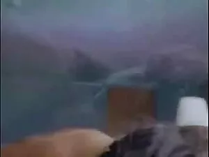 礼来骑士 热性管
