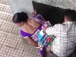 猫的乐趣 艾西瓦娅莱性