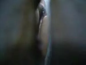 TG-使Elise是完美的 卡纳达语性别 ...