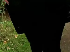 查理红，枪色布局1080p 印地语性彩信